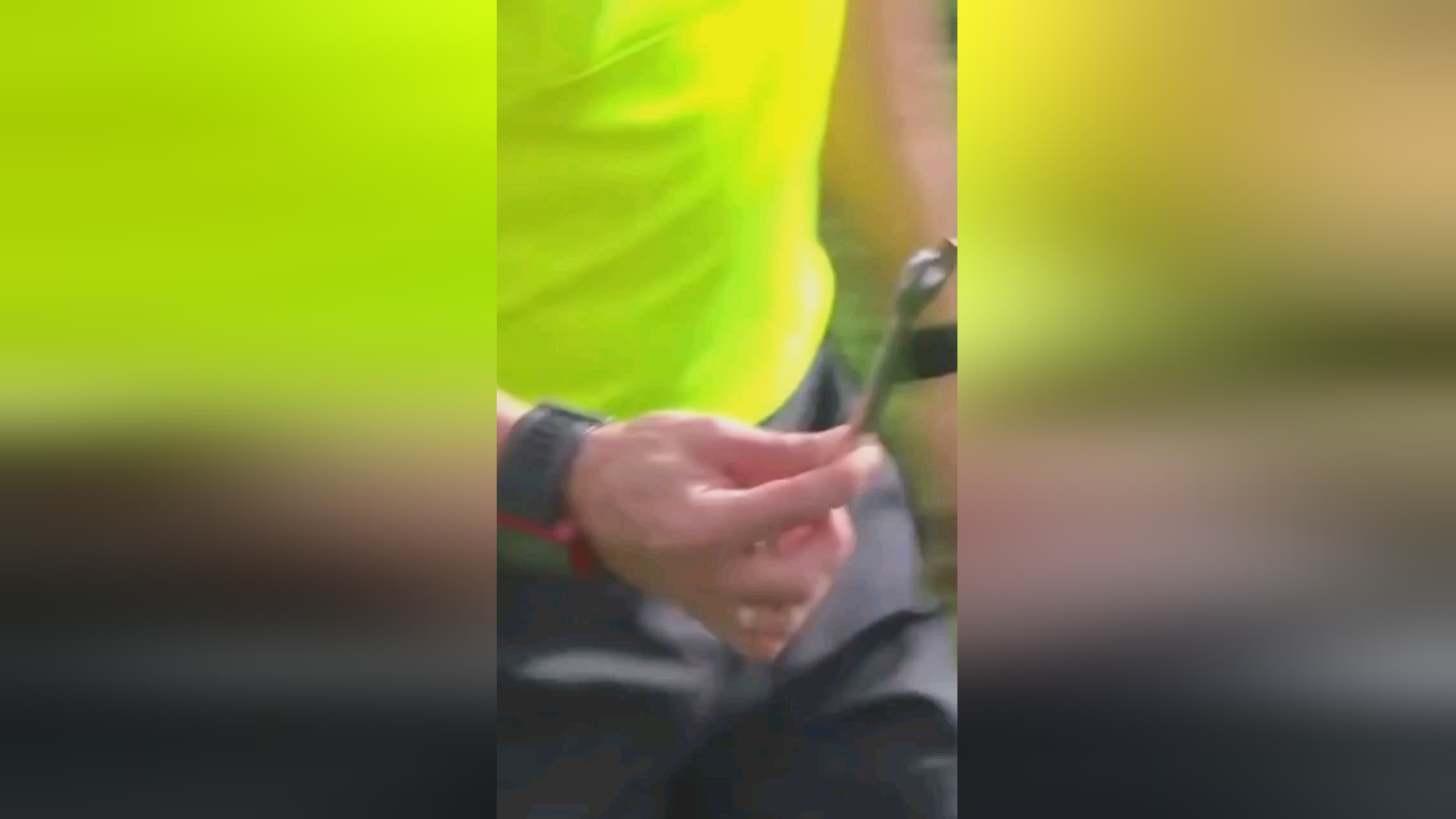 重要因素